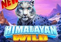 Mengapa Bandar Togel Online Semakin Populer? Ini Alasan dan Keuntungannya!
