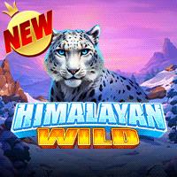 Mengapa Bandar Togel Online Semakin Populer? Ini Alasan dan Keuntungannya!